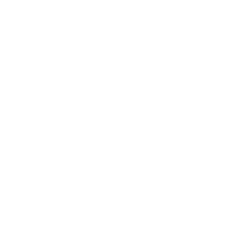 Eidetikos mark